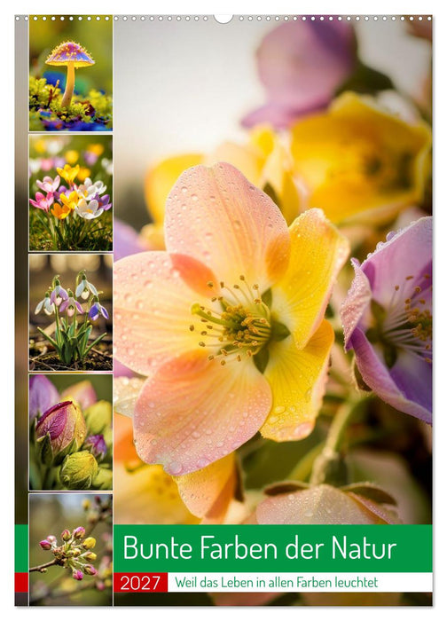 Bunte Farben der Natur (CALVENDO Wandkalender 2027)
