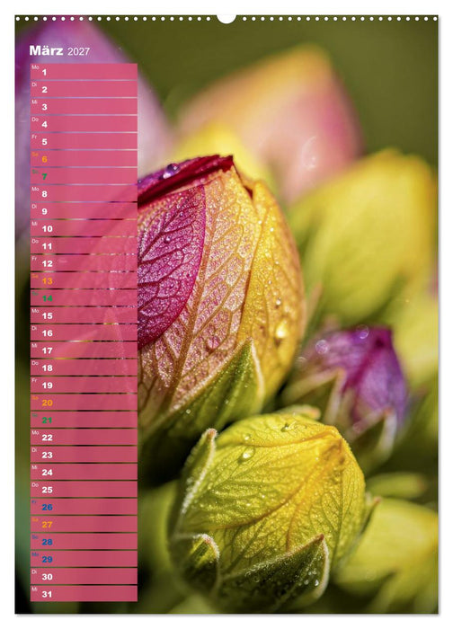 Bunte Farben der Natur (CALVENDO Wandkalender 2027)