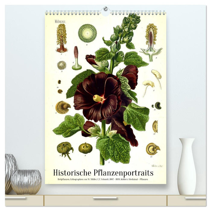 Historische Pflanzenportraits - Heilpflanzen Lithographien von W. Müller (CALVENDO Premium Wandkalender 2027)