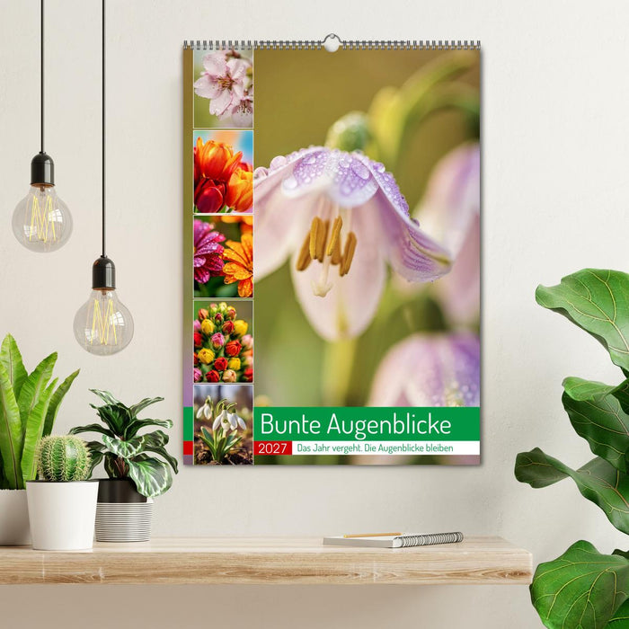 Bunte Augenblicke (CALVENDO Wandkalender 2027)