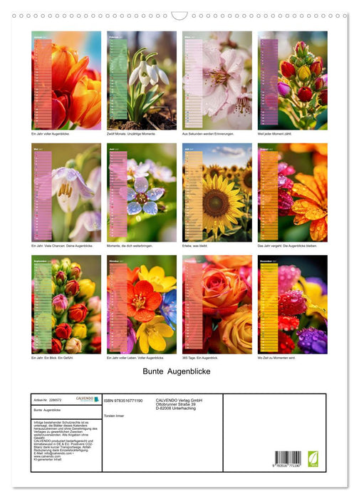Bunte Augenblicke (CALVENDO Wandkalender 2027)