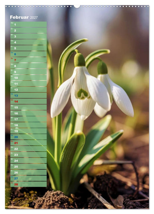 Bunte Augenblicke (CALVENDO Wandkalender 2027)