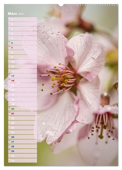 Bunte Augenblicke (CALVENDO Wandkalender 2027)