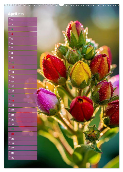 Bunte Augenblicke (CALVENDO Wandkalender 2027)