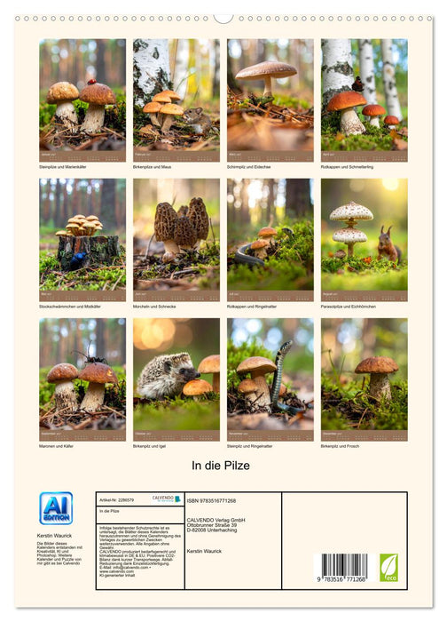 In die Pilze (CALVENDO Premium Wandkalender 2027)