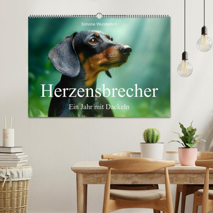 Herzensbrecher - Ein Jahr mit Dackeln (CALVENDO Wandkalender 2027)