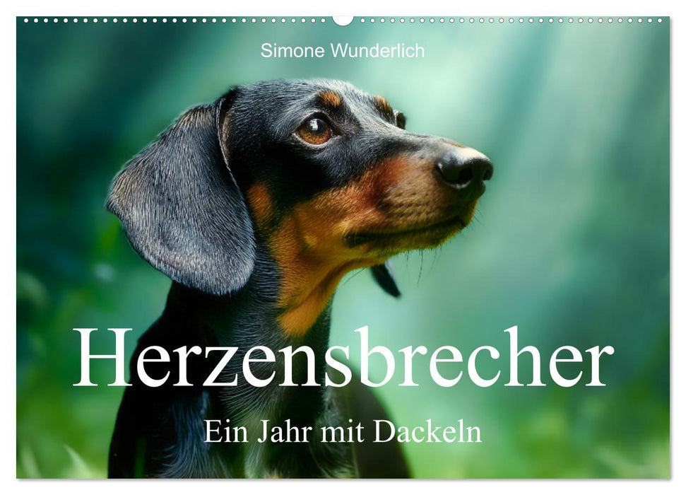 Herzensbrecher - Ein Jahr mit Dackeln (CALVENDO Wandkalender 2027)