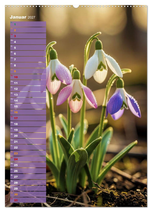Bunte Farben der Natur (CALVENDO Premium Wandkalender 2027)
