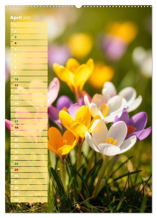 Bunte Farben der Natur (CALVENDO Premium Wandkalender 2027)