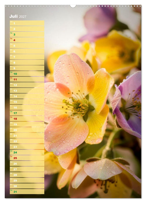 Bunte Farben der Natur (CALVENDO Premium Wandkalender 2027)