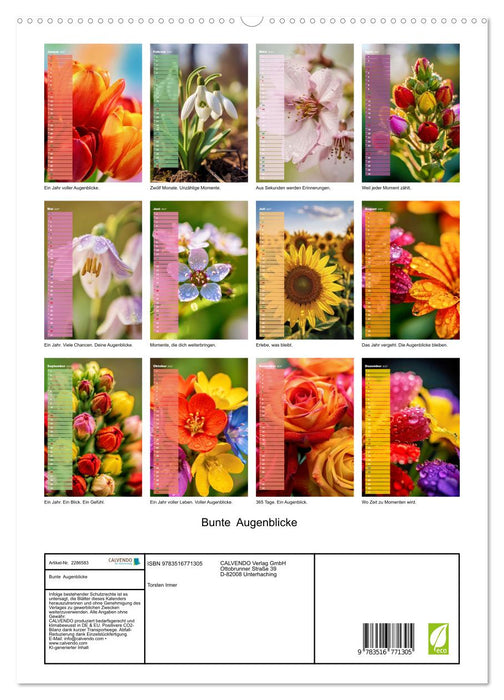 Bunte Augenblicke (CALVENDO Premium Wandkalender 2027)