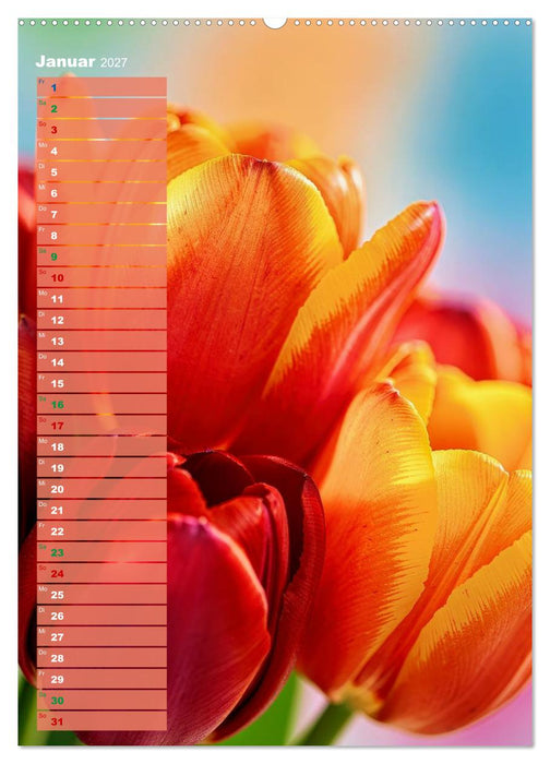 Bunte Augenblicke (CALVENDO Premium Wandkalender 2027)