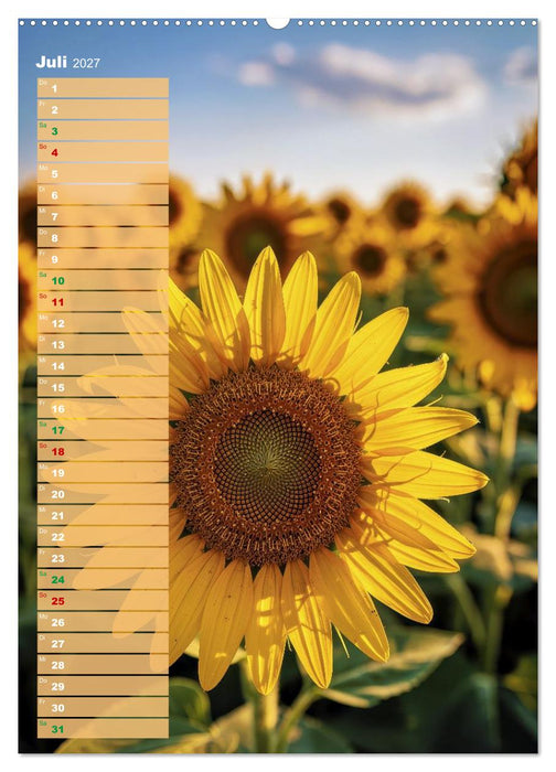 Bunte Augenblicke (CALVENDO Premium Wandkalender 2027)