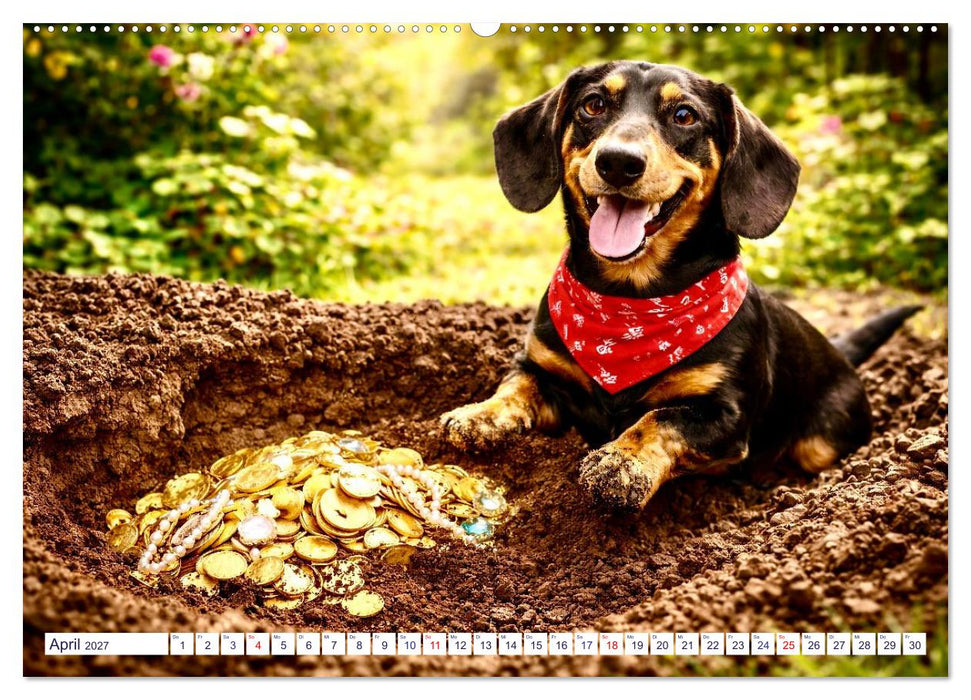 Wovon Hunde träumen (CALVENDO Premium Wandkalender 2027)