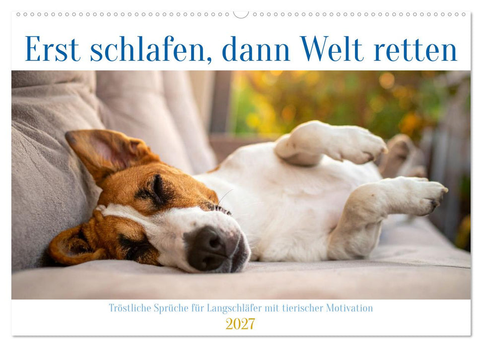 Erst schlafen, dann Welt retten (CALVENDO Wandkalender 2027)