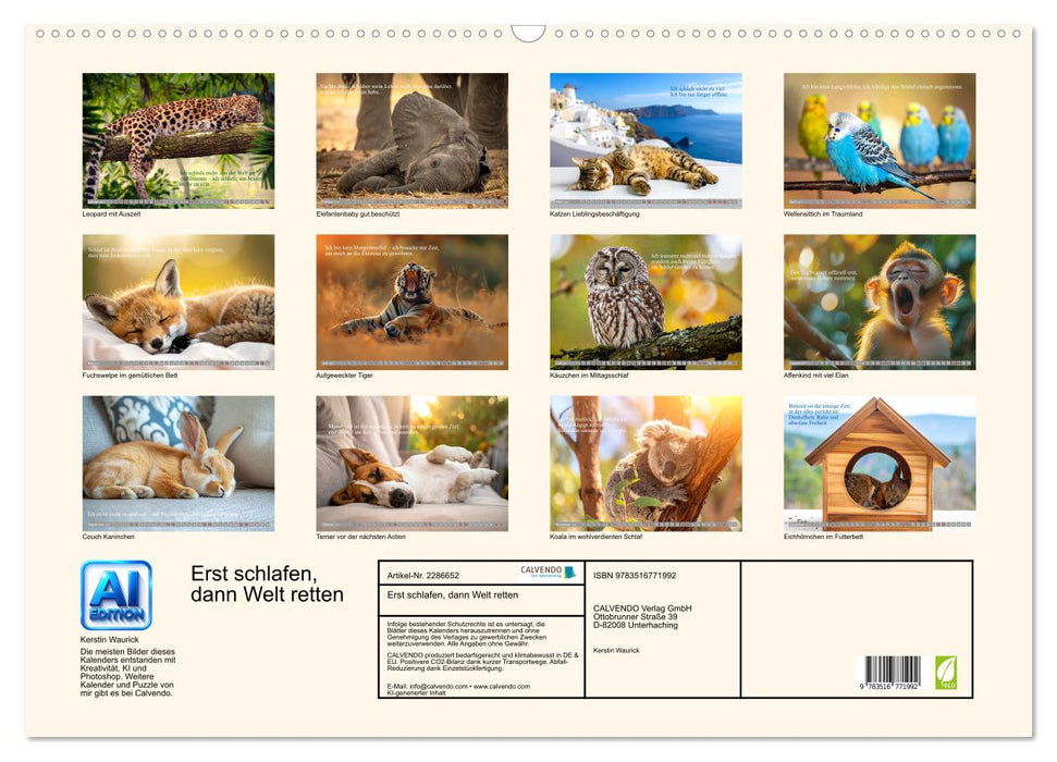 Erst schlafen, dann Welt retten (CALVENDO Wandkalender 2027)