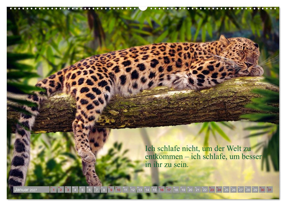 Erst schlafen, dann Welt retten (CALVENDO Wandkalender 2027)