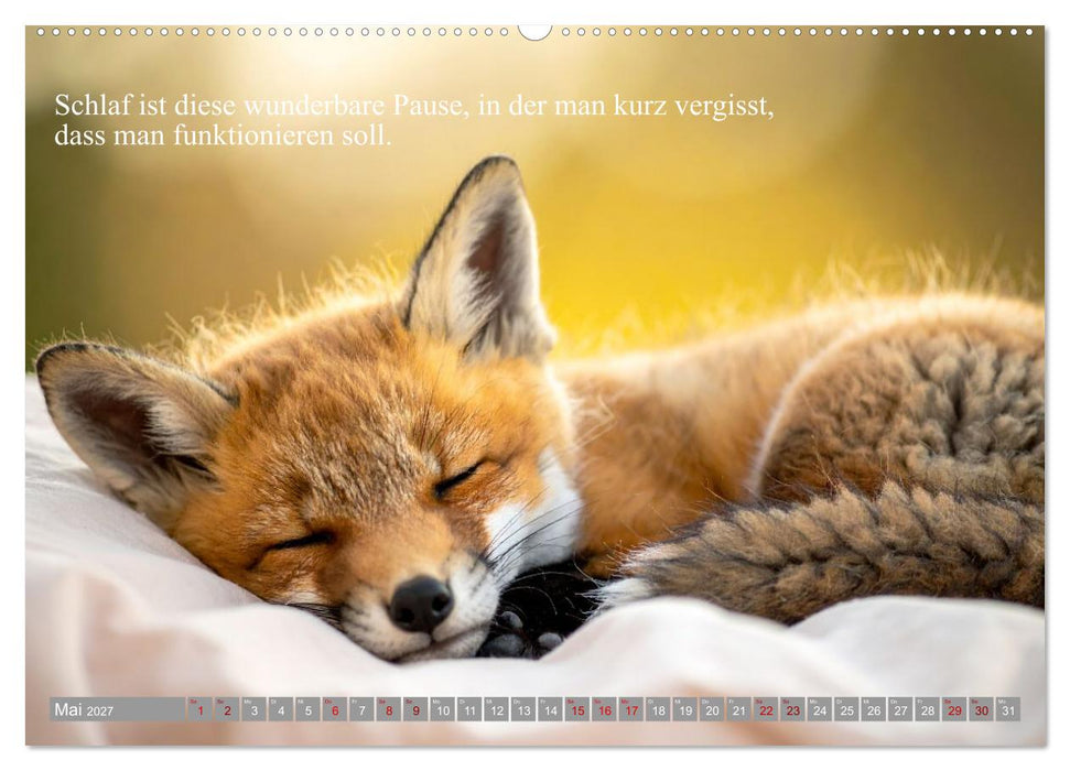 Erst schlafen, dann Welt retten (CALVENDO Wandkalender 2027)