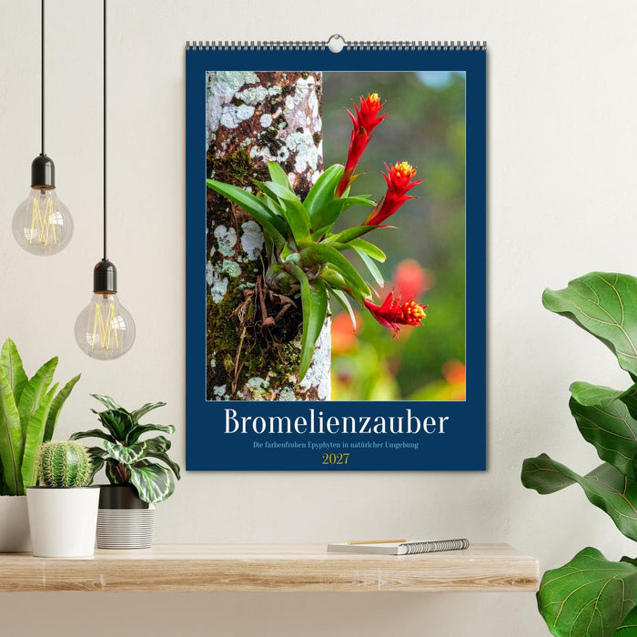 Bromelienzauber (CALVENDO Wandkalender 2027)