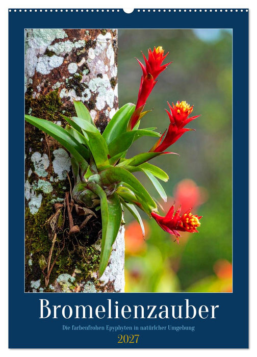 Bromelienzauber (CALVENDO Wandkalender 2027)