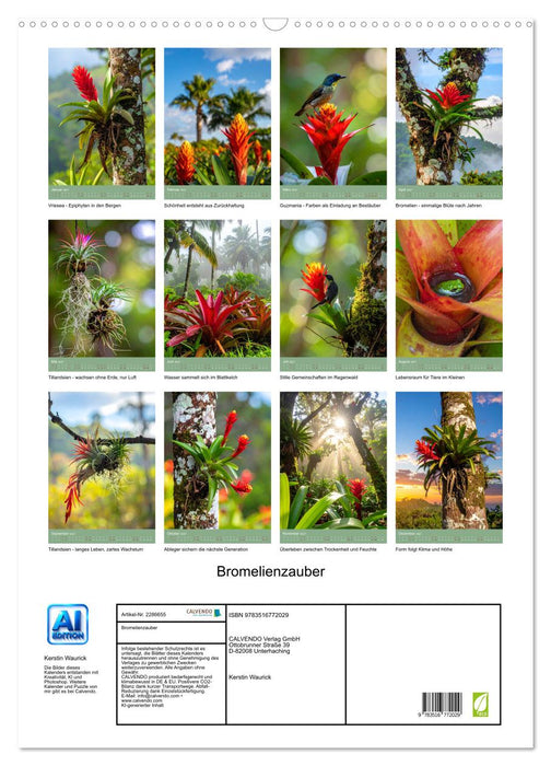 Bromelienzauber (CALVENDO Wandkalender 2027)