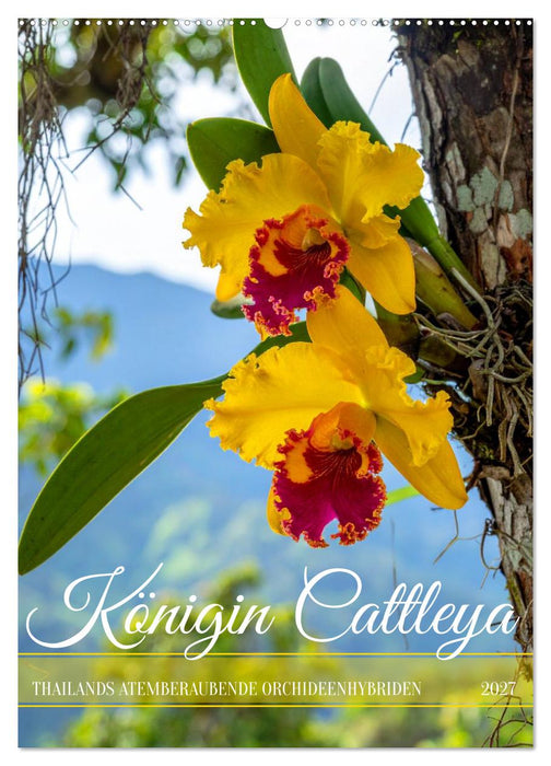 Königin Cattleya (CALVENDO Wandkalender 2027)