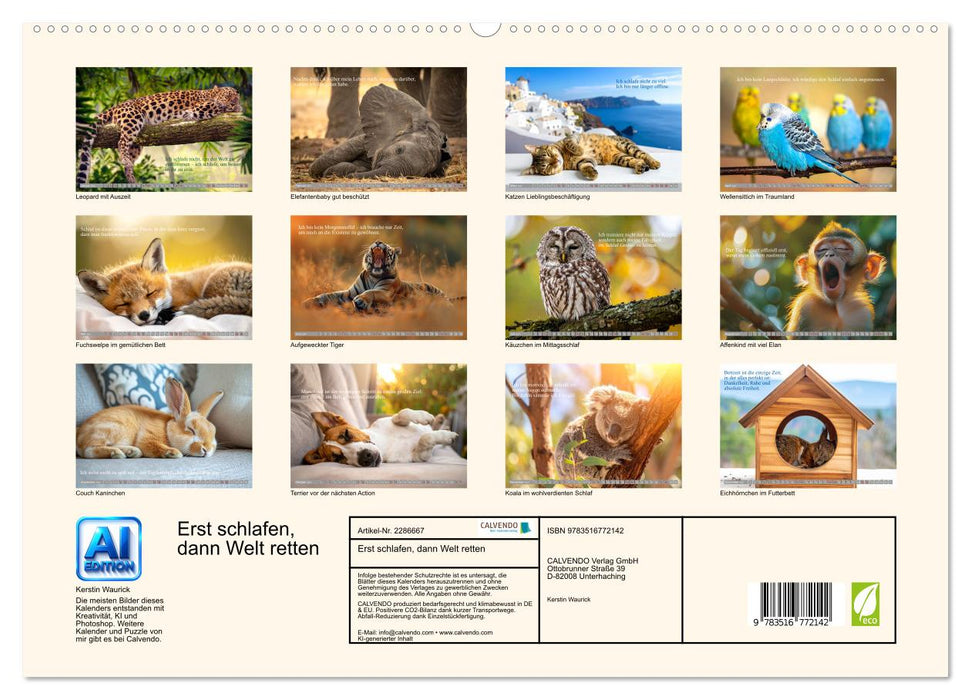 Erst schlafen, dann Welt retten (CALVENDO Premium Wandkalender 2027)