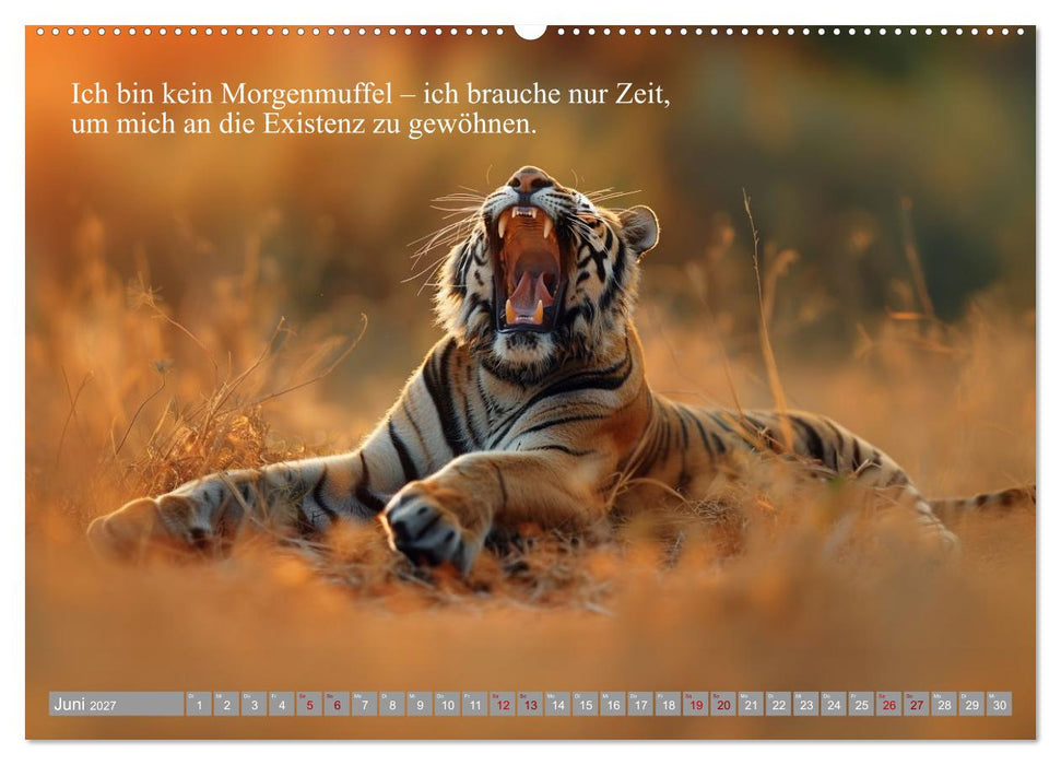 Erst schlafen, dann Welt retten (CALVENDO Premium Wandkalender 2027)