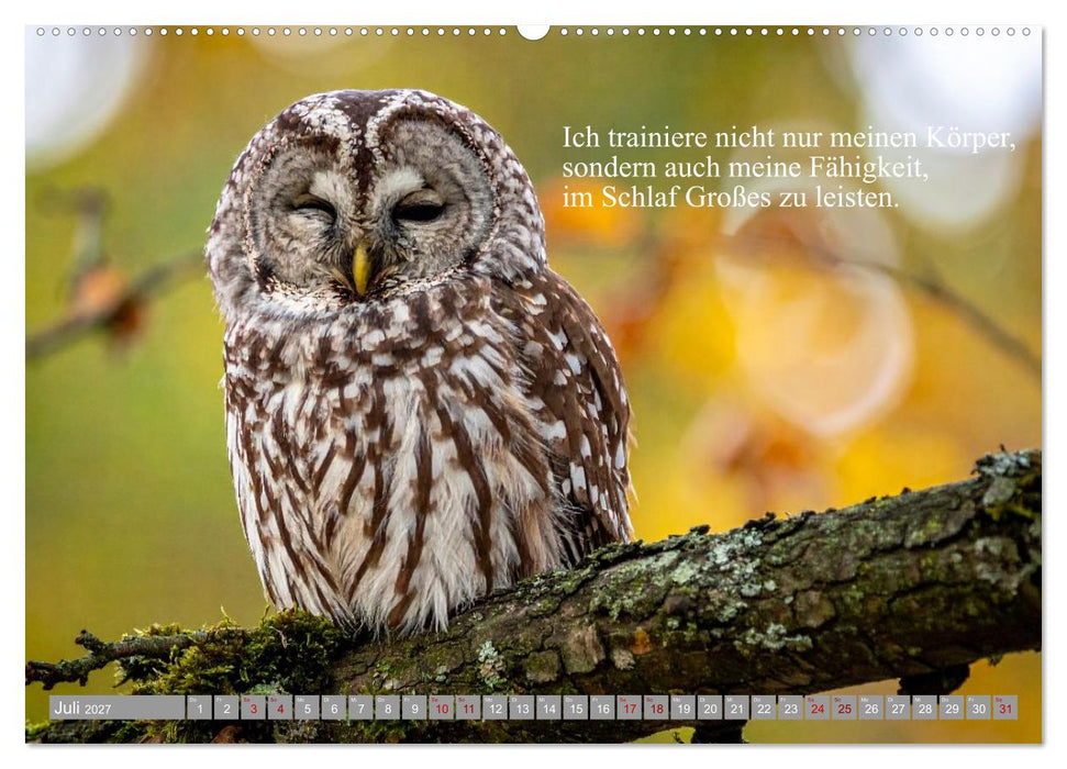 Erst schlafen, dann Welt retten (CALVENDO Premium Wandkalender 2027)