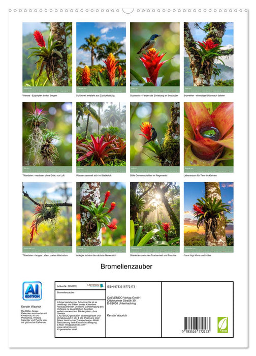 Bromelienzauber (CALVENDO Premium Wandkalender 2027)
