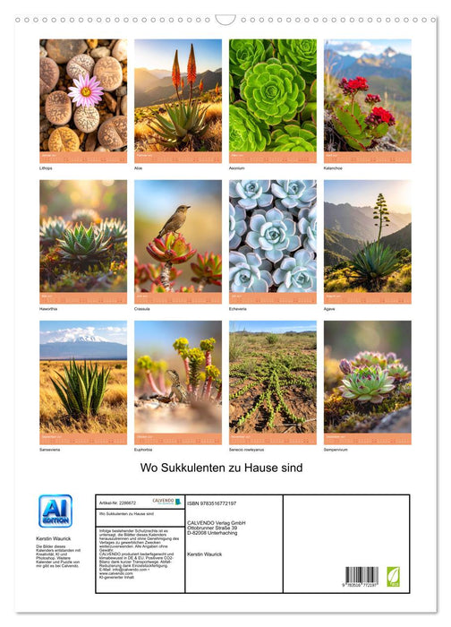 Wo Sukkulenten zu Hause sind (CALVENDO Wandkalender 2027)