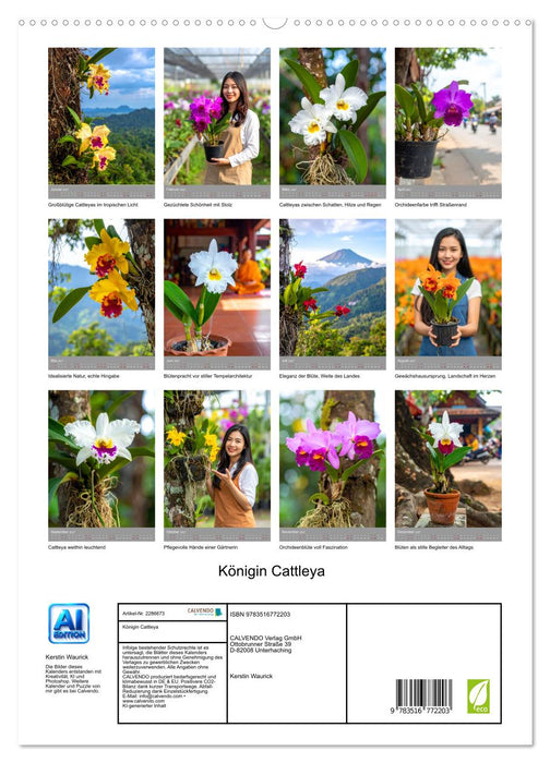 Königin Cattleya (CALVENDO Premium Wandkalender 2027)