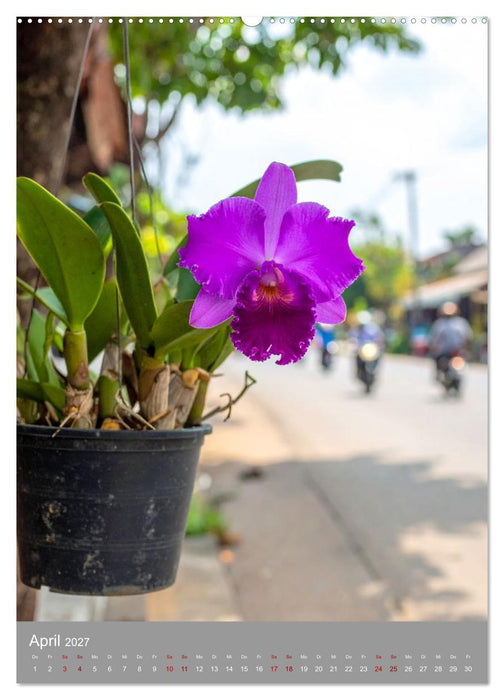 Königin Cattleya (CALVENDO Premium Wandkalender 2027)