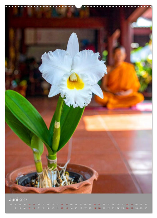 Königin Cattleya (CALVENDO Premium Wandkalender 2027)
