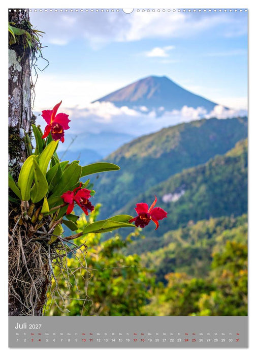 Königin Cattleya (CALVENDO Premium Wandkalender 2027)