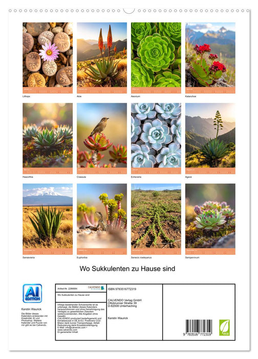 Wo Sukkulenten zu Hause sind (CALVENDO Premium Wandkalender 2027)
