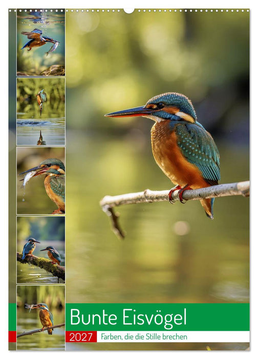 Bunte Eisvögel (CALVENDO Wandkalender 2027)