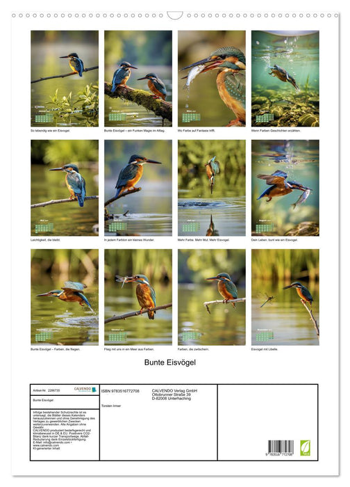 Bunte Eisvögel (CALVENDO Wandkalender 2027)