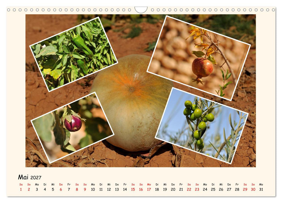 Syrien Kultur & Landschaft (CALVENDO Wandkalender 2027)