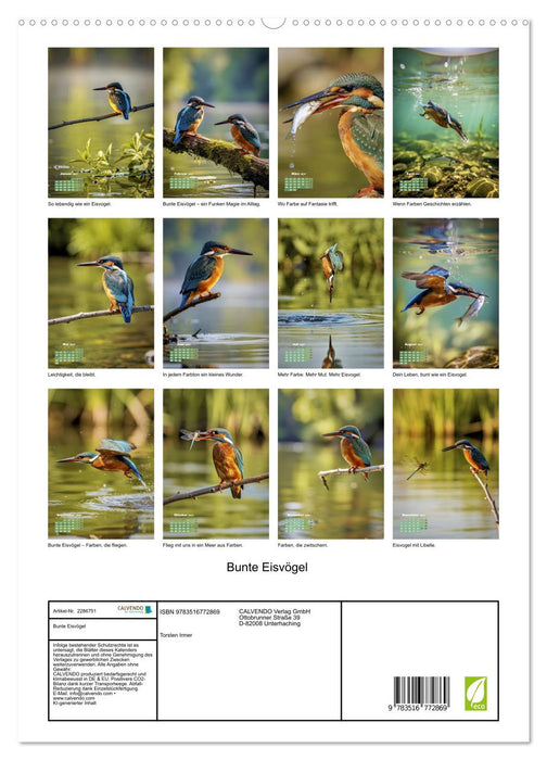 Bunte Eisvögel (CALVENDO Premium Wandkalender 2027)
