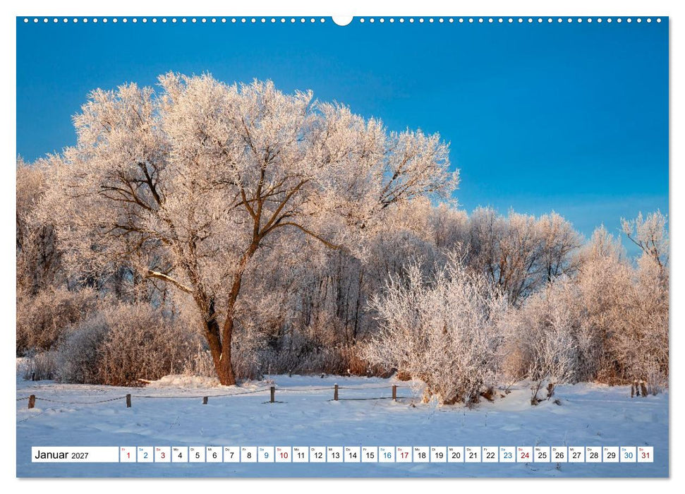Lüneburger Heide – Im Wandel der Jahreszeiten (CALVENDO Wandkalender 2027)