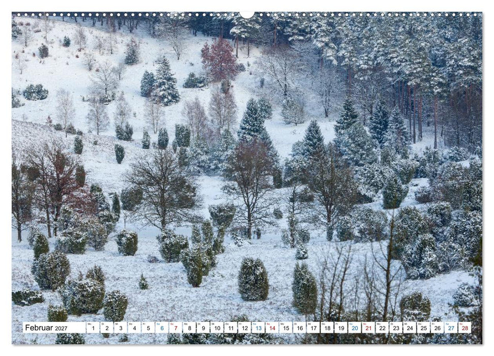 Lüneburger Heide – Im Wandel der Jahreszeiten (CALVENDO Wandkalender 2027)