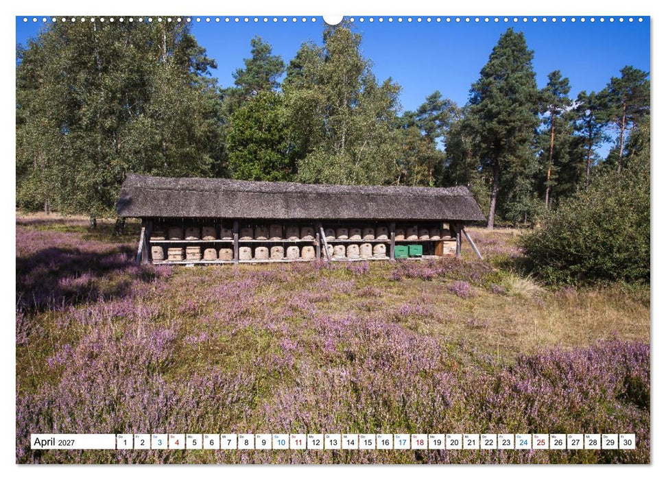 Lüneburger Heide – Im Wandel der Jahreszeiten (CALVENDO Wandkalender 2027)