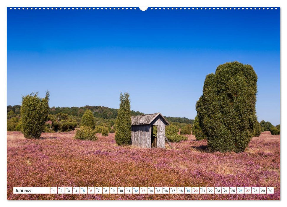 Lüneburger Heide – Im Wandel der Jahreszeiten (CALVENDO Wandkalender 2027)