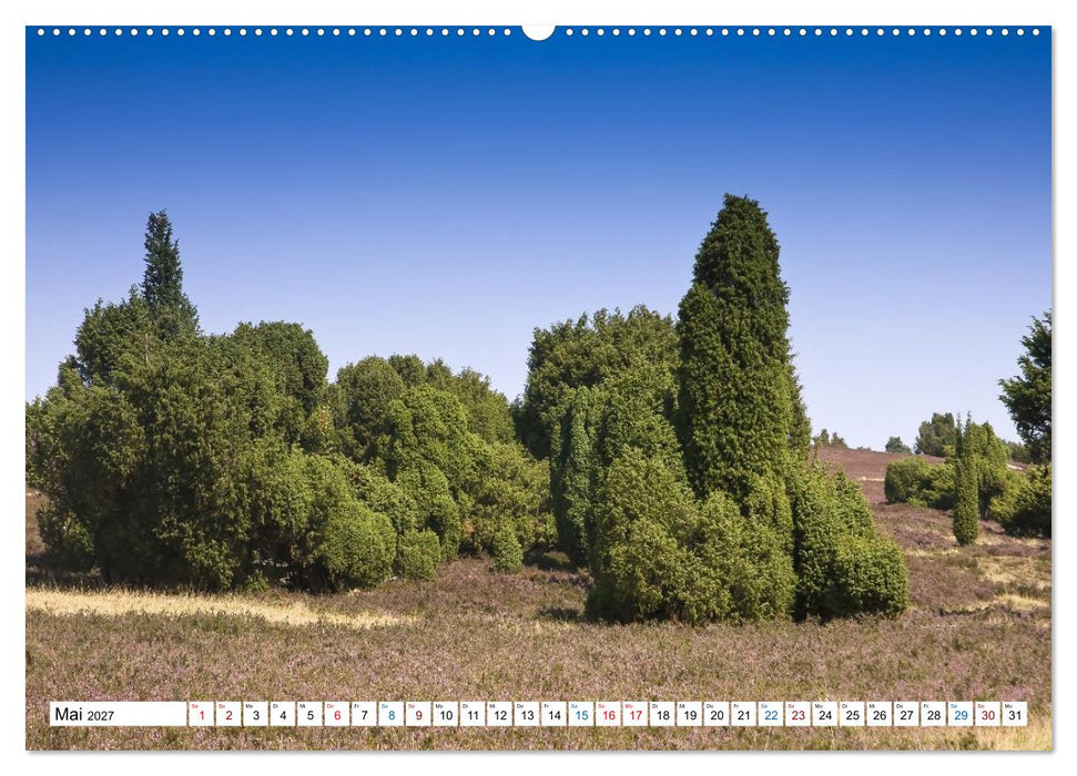 Lüneburger Heide – Im Wandel der Jahreszeiten (CALVENDO Premium Wandkalender 2027)
