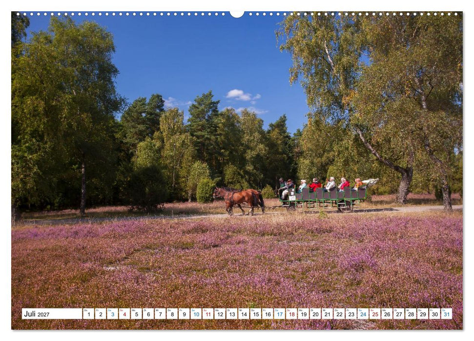 Lüneburger Heide – Im Wandel der Jahreszeiten (CALVENDO Premium Wandkalender 2027)