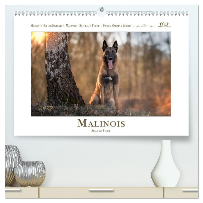 Malinois - Seelen aus Feuer (CALVENDO Premium Wandkalender 2027)