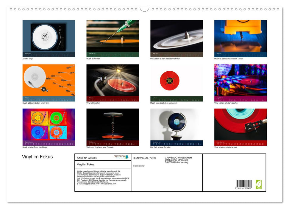 Vinyl im Fokus (CALVENDO Wandkalender 2027)