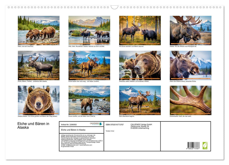 Elche und Bären in Alaska (CALVENDO Wandkalender 2027)