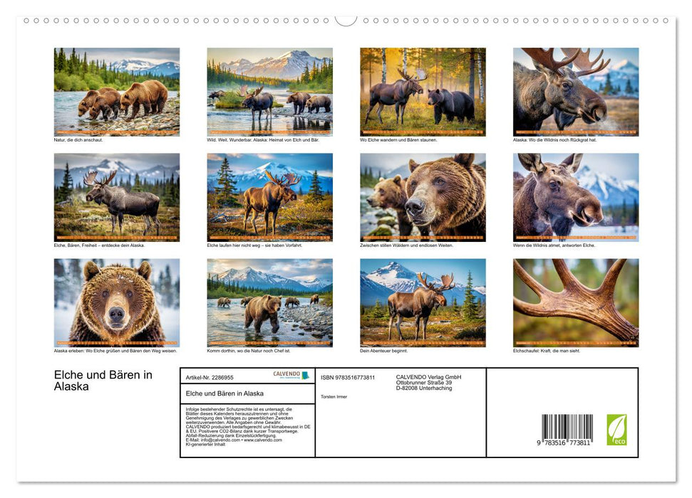 Elche und Bären in Alaska (CALVENDO Premium Wandkalender 2027)